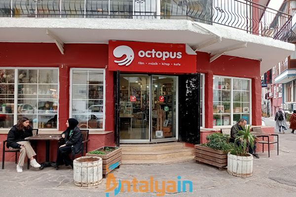 Octopus Kitap Cafe